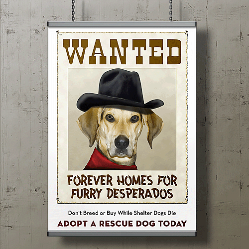 Rescue posters